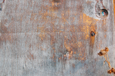 Similar image 792613