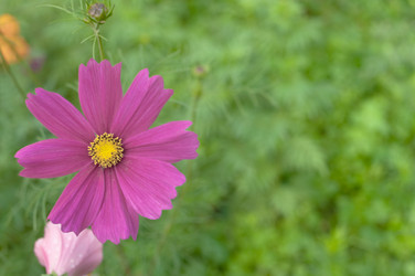 Similar image 792650