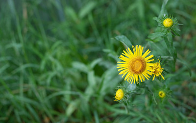 Similar image 792656