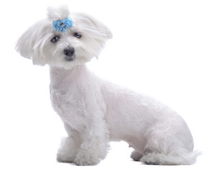 Similar image 792657