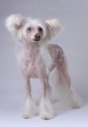 Similar image 792678