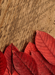 Similar image 792683