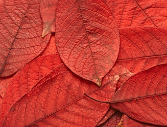 Similar image 792688