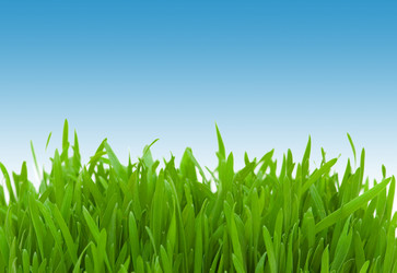 Similar image 792740