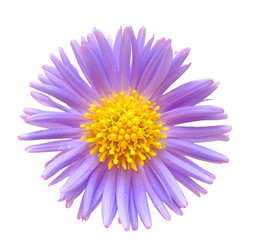 Similar image 792856