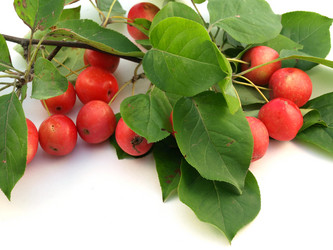 Similar image 792903