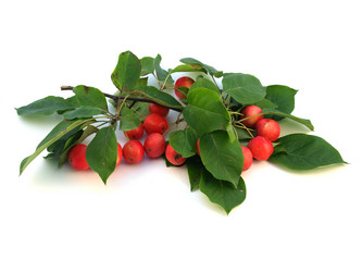 Similar image 792906