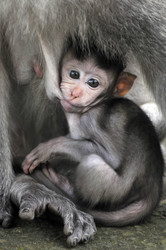 Similar image 792983