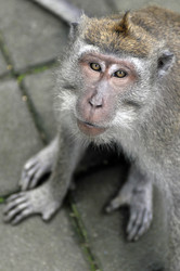 Similar image 792984