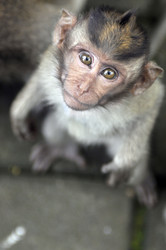 Similar image 792985