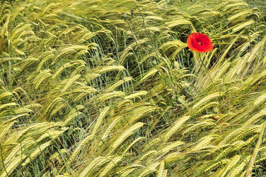 Similar image 793009