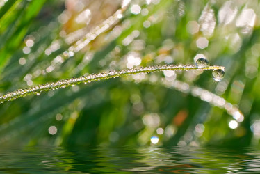 Similar image 793012