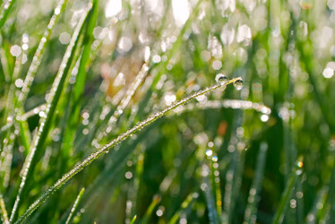 Similar image 793013