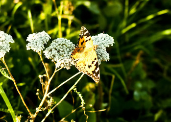 Similar image 793048