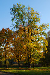 Similar image 793051