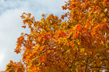 Similar image 793053