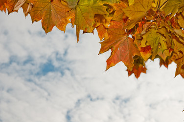 Similar image 793056