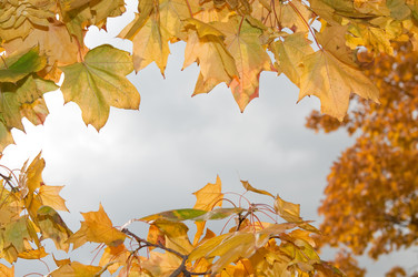 Similar image 793057