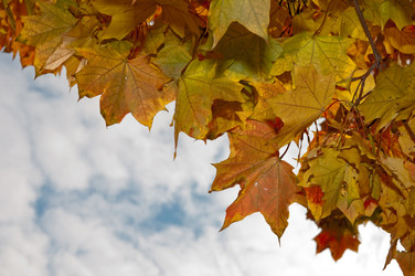 Similar image 793059