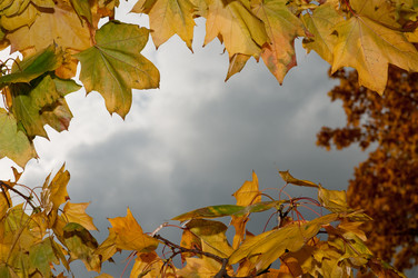 Similar image 793060