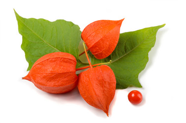 Similar image 793062