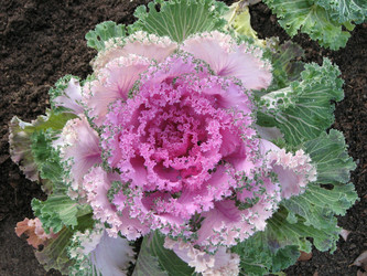 Similar image 793063