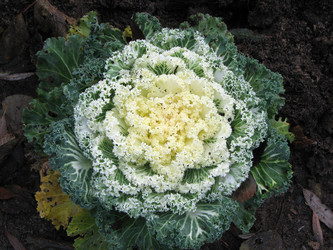 Similar image 793069