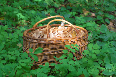 Similar image 793067