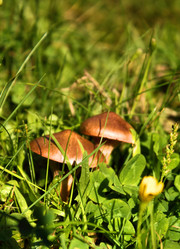 Similar image 793075