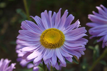 Similar image 793153