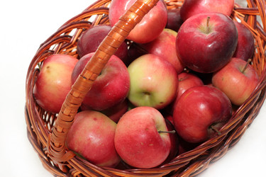 Similar image 793178