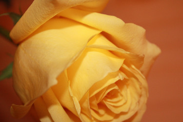 Similar image 793182