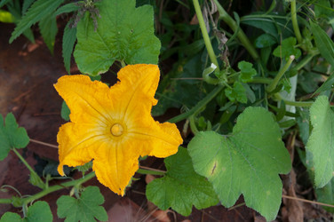 Similar image 793184