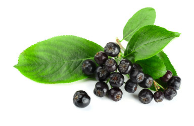 Similar image 793238