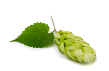 Similar image 793276