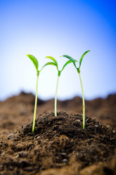 Similar image 793298