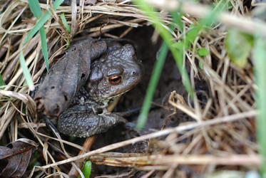 Similar image 793324