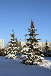 Similar image 793326