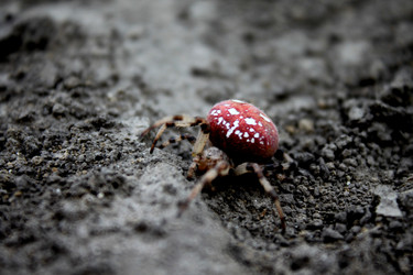 Similar image 793327