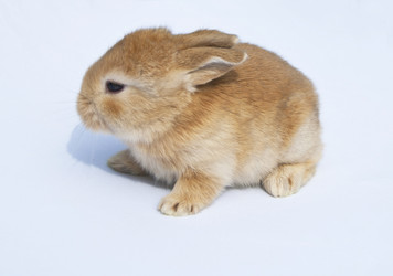 Similar image 793339