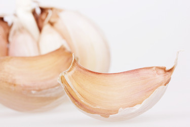 Similar image 793355