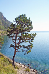 Similar image 793402