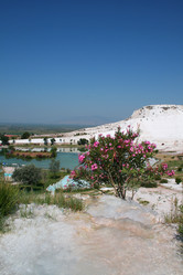 Similar image 793505