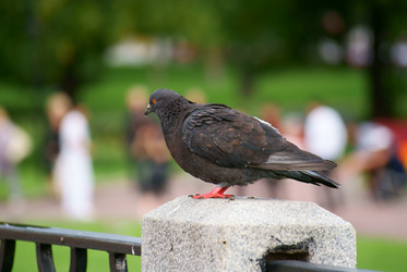 Similar image 793517