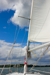 Similar image 793544