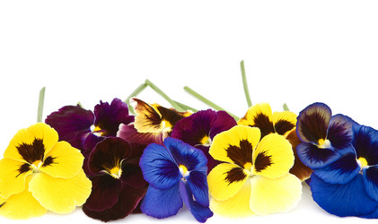 Similar image 793608