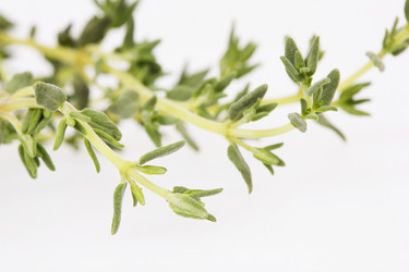 Similar image 793610