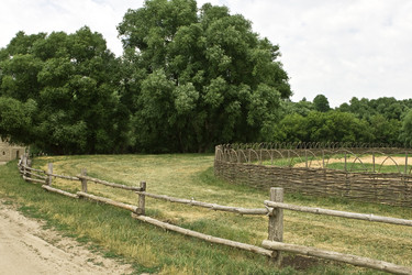 Similar image 793612