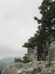 Similar image 793636