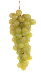 Similar image 793700